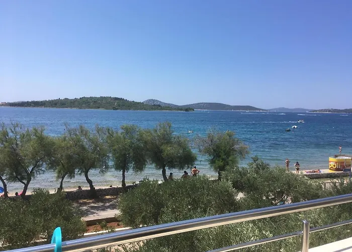 Galeb