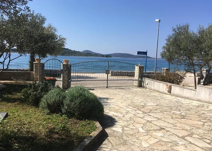Galeb