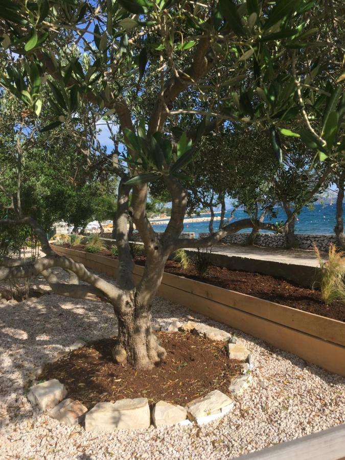 Galeb Apartment Vodice