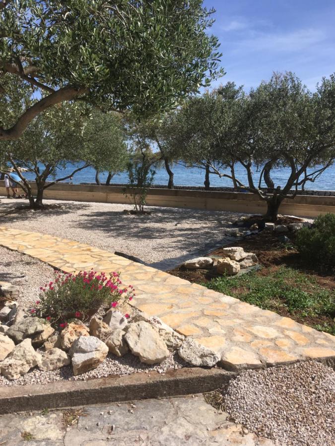 Apartment Galeb