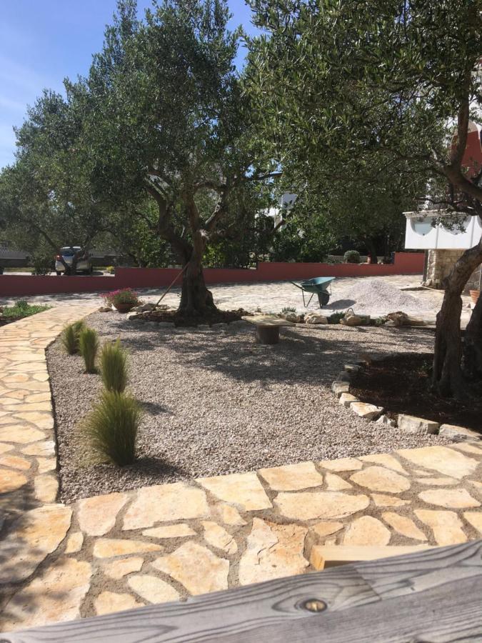 Galeb Apartament *