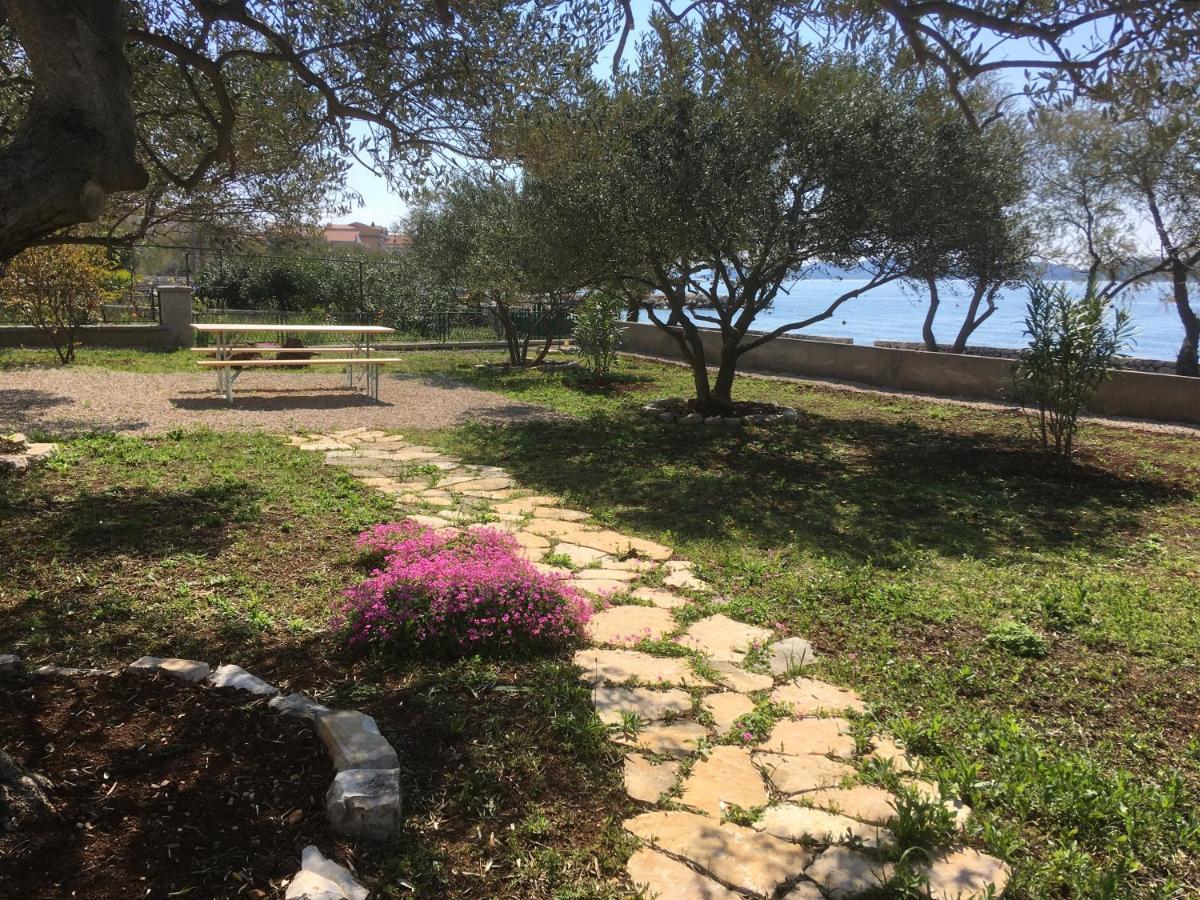 Apartment Galeb