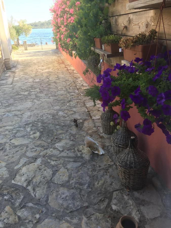 Apartment Galeb Vodice