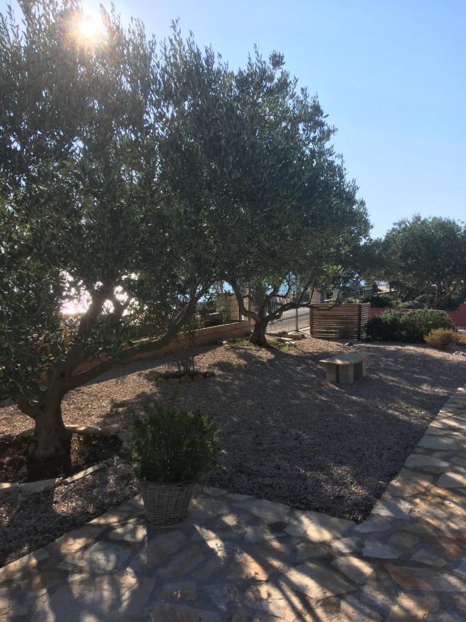 Galeb Apartment *