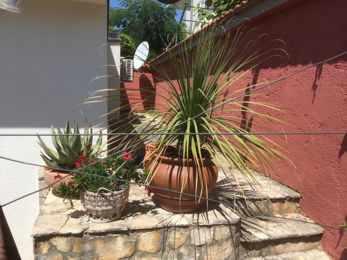 Galeb * Vodice