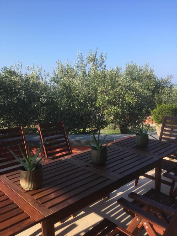 Apartment Galeb