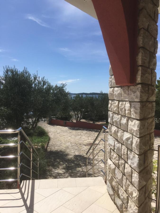 Galeb