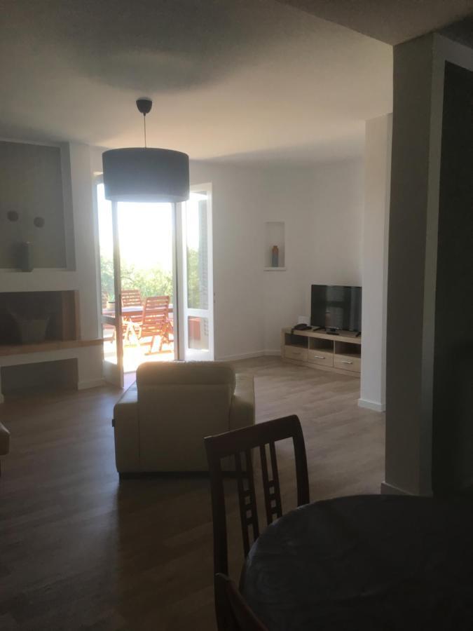 Galeb Vodice