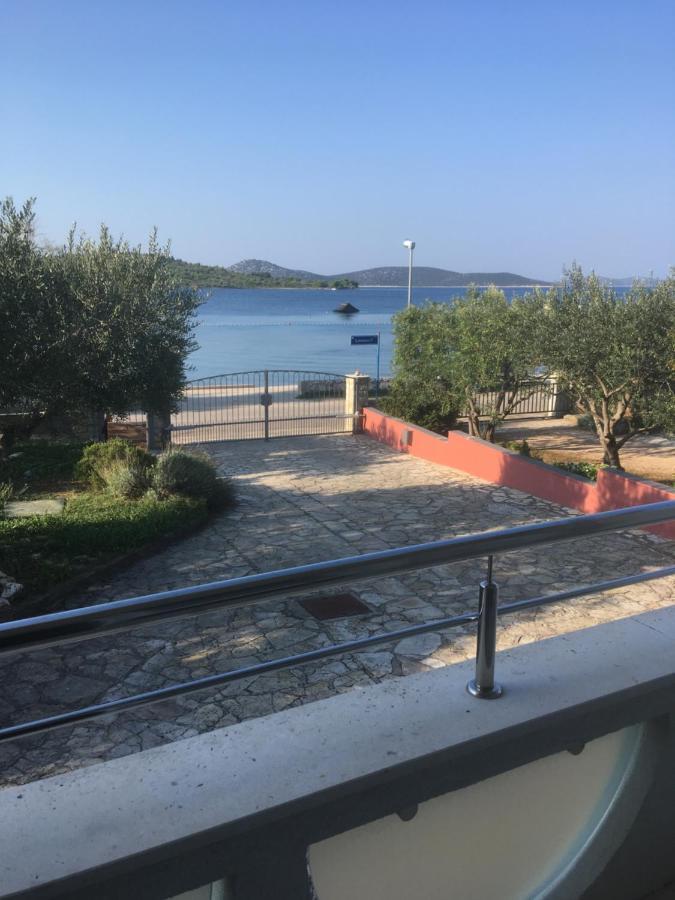 Galeb