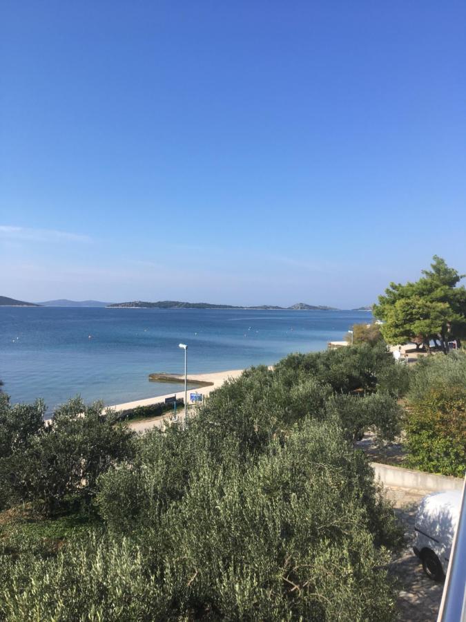 Galeb