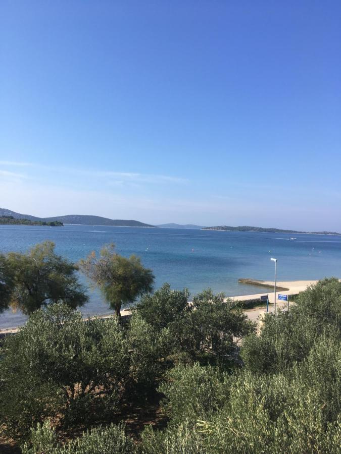 Galeb *