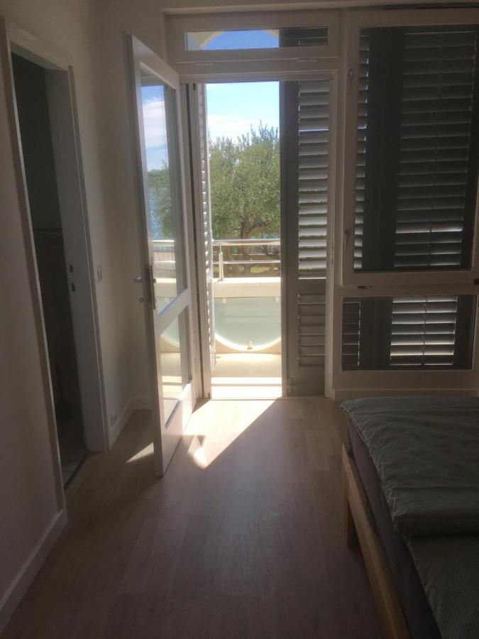 Galeb
